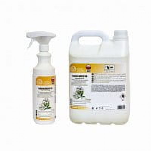 DOLPHIN GREEN TEA intensywny odświeżacz powietrza zielona herbata