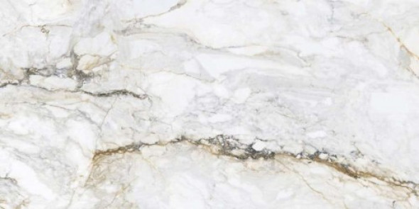 HOME terrano Calacatta Oro Poler płytka gresowa 60x120