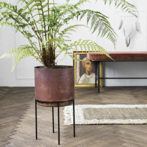 Donica NIAN House Doctor Rdza