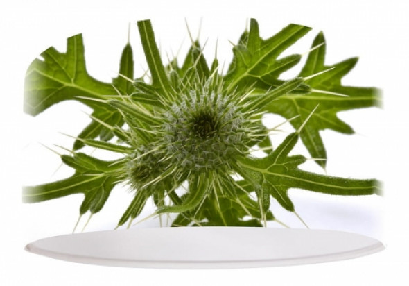 Ladna lampa wisząca Dziki chwast-154-30cm