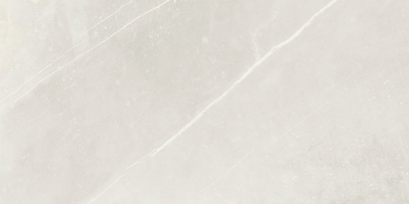 CERAMICHE PIEMME UNIQUESTONE SILK NAT/RET 60x119,5 02995 Płytka Gresowa